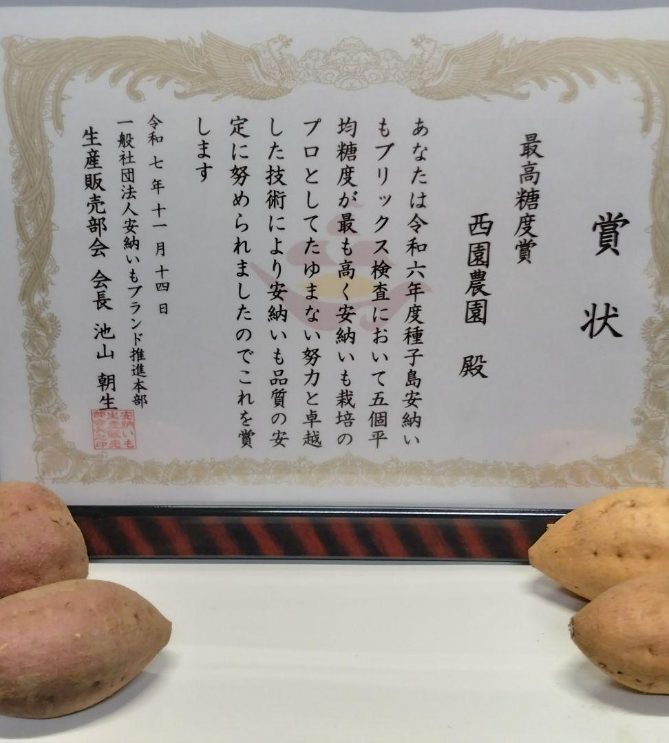 種子島安納いも 2Sサイズ 20㎏