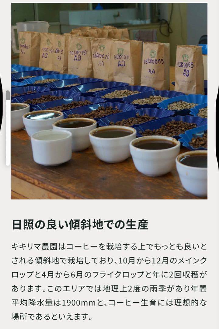 コーヒー生豆　ケニアピーベリー★ハンドピック済み後の3kg