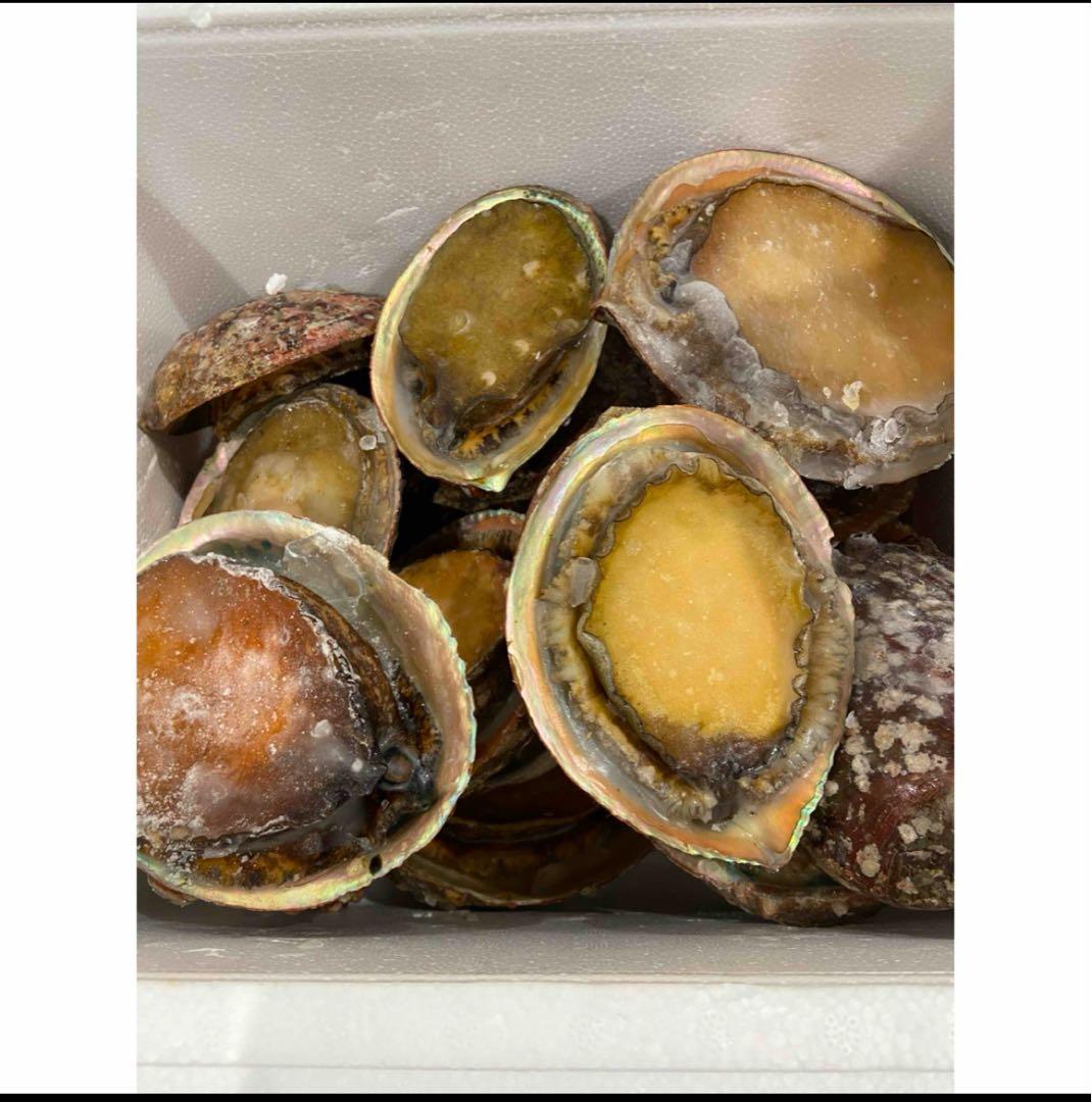 ケイゴ。⭐️冷凍アワビ⭐️１個200/300gを10キロ。