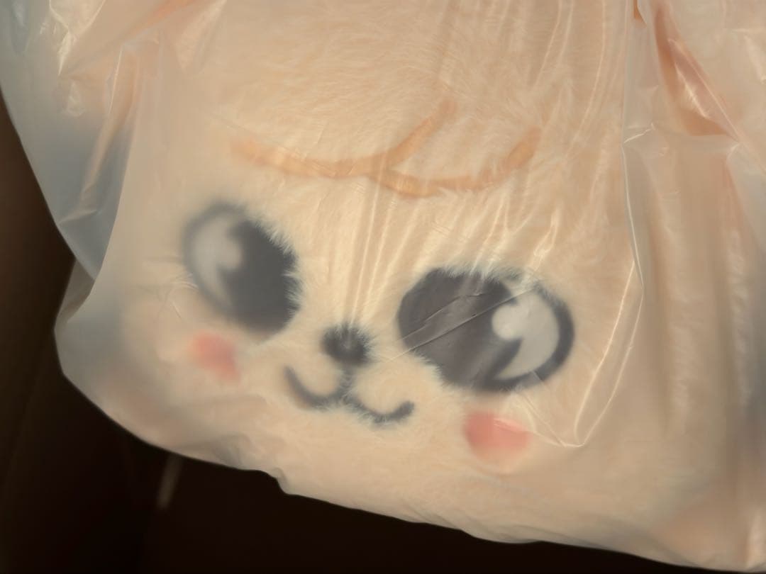 StrayKids celebrATE POPUP スンミン メンプロ パピーム