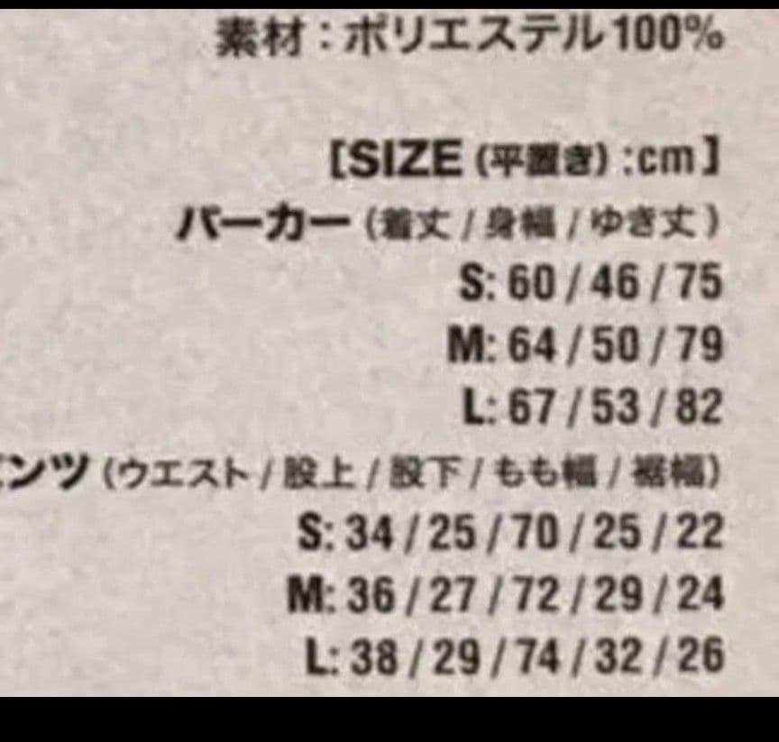 VAMPS VAMPADDICT限定 ベロア ルームウェア　HYDE 上下セット