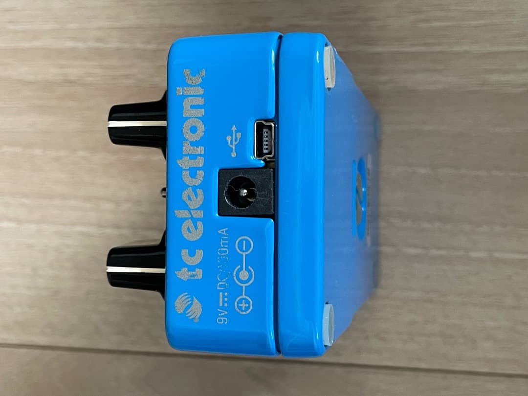 ギター tc electronic FLASHBACK Delay&Looper