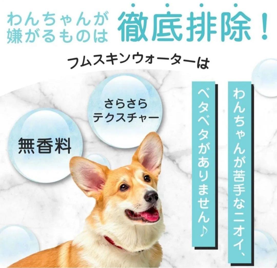 フムスキンウォーター公式サイト犬　5本セット MOREMOTTO 涙やけケア