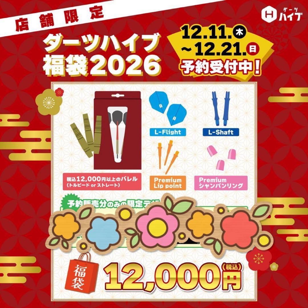 ダーツハイブ 福袋　ターゲットWILD2.0 19.5g