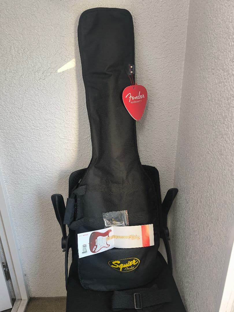 エレキベース 、バスカ—ズ、ブラック ギグバッグ付き、可動品