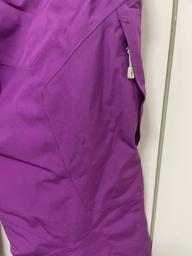 patagonia インサレーテッド　パウダーボールパンツ ウィメンズ