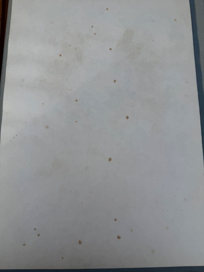 【O-1749】佐藤勝彦 菩薩 絵画 版画 墨彩画 美術 アート