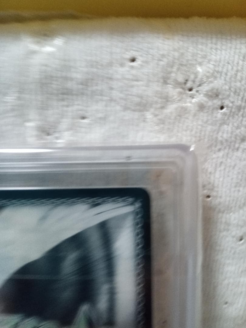 ヴァイス WS ノーゲームノーライフ 『 』の片割れ 白 サイン ARS9