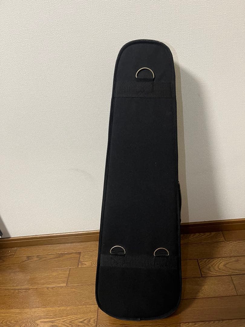 Carlo giordano Silenzia EV202 エレキバイオリン