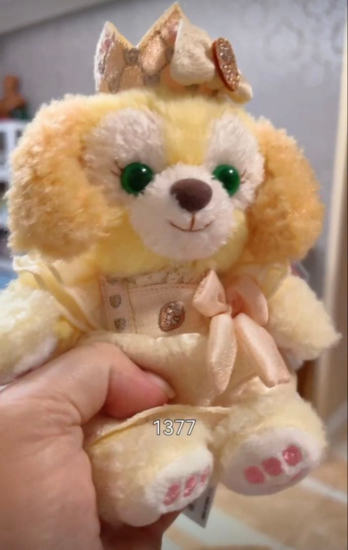 専用ページ　4点