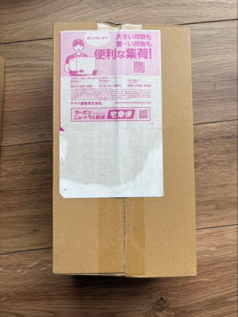 ポケモンセンター　ヒロシマ　2個セット　未開封