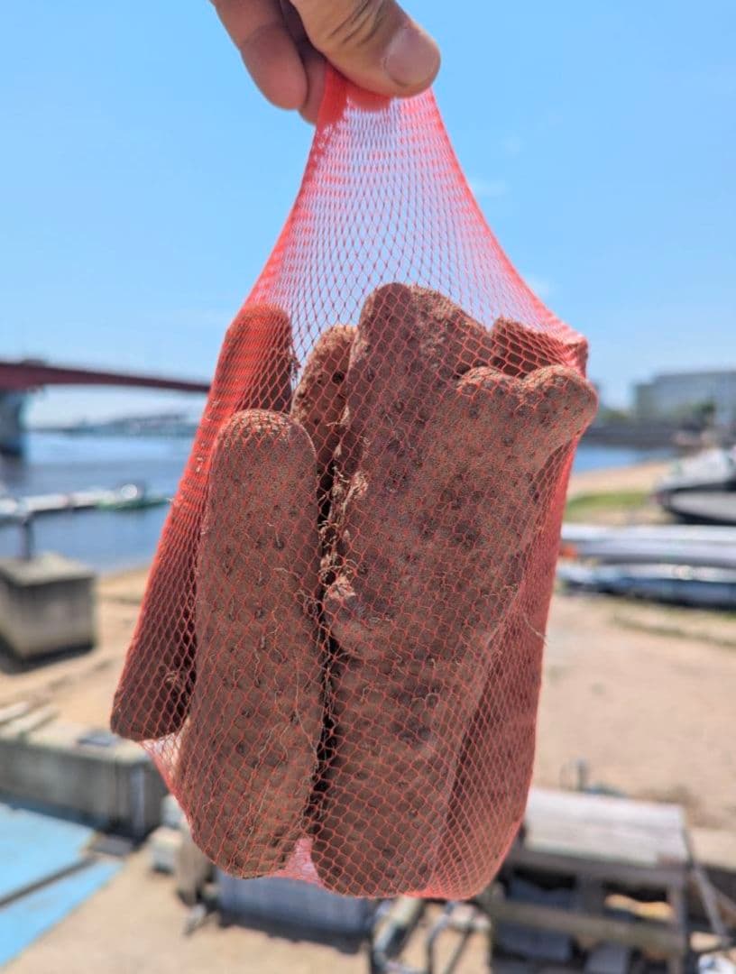 【濃厚な甘み！】ねばりっこ 20kg (規格外) ＋ むかご200g