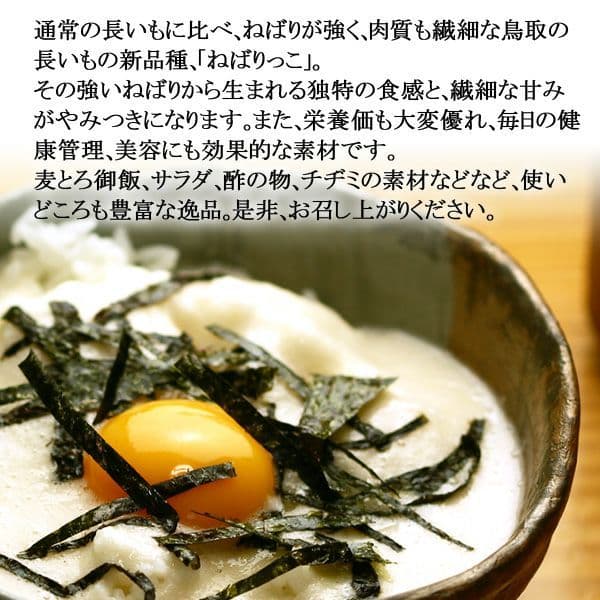 【濃厚な甘み！】ねばりっこ 20kg (規格外) ＋ むかご200g