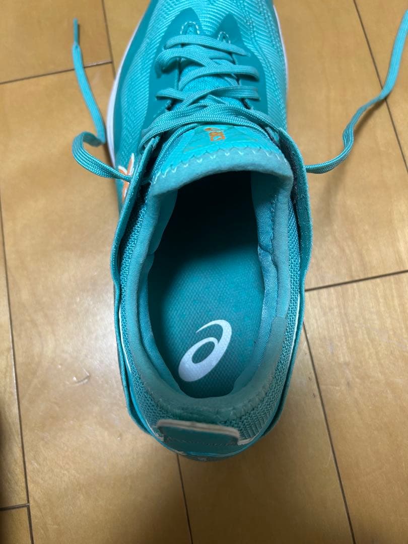 限定カラー ASICS GLIDE NOVA ff3 29㎝