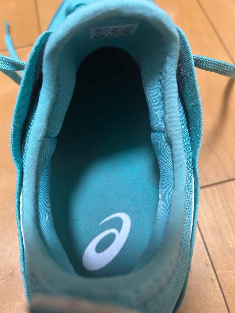 限定カラー ASICS GLIDE NOVA ff3 29㎝