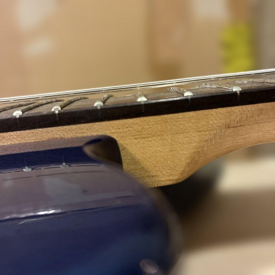 ピグノーズPGG200 青