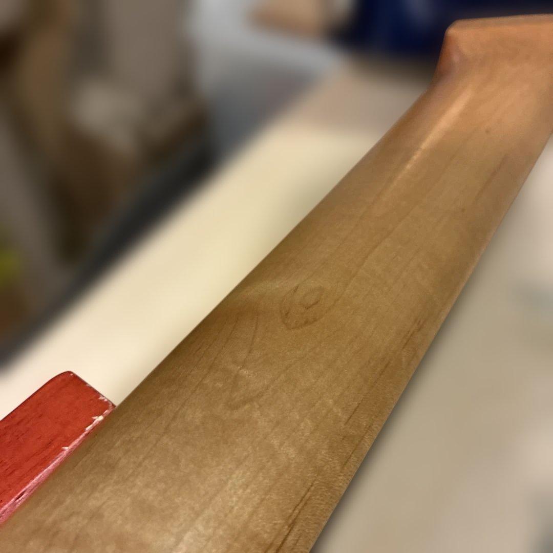 ピグノーズPGG200 青