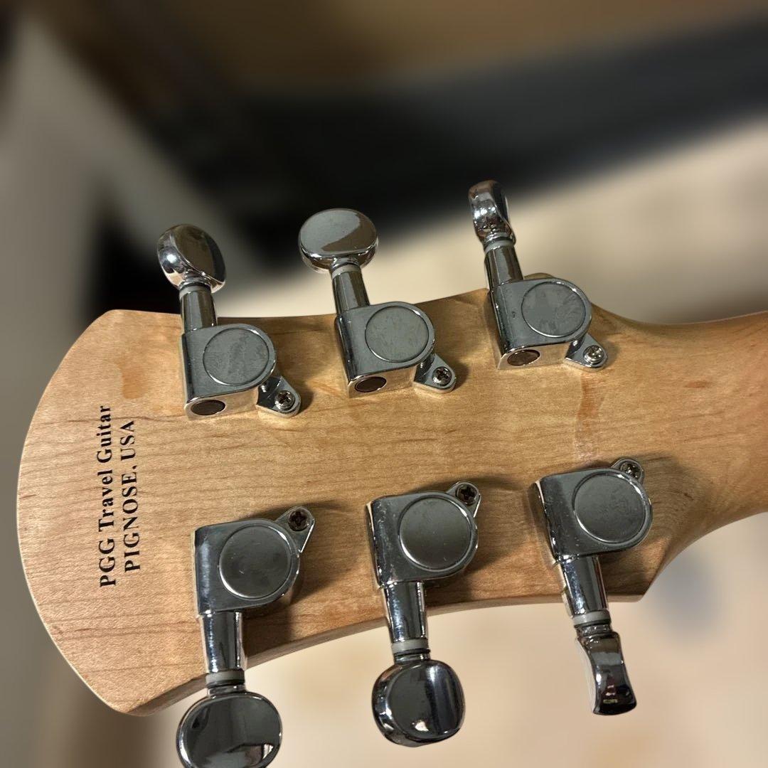 ピグノーズPGG200 青