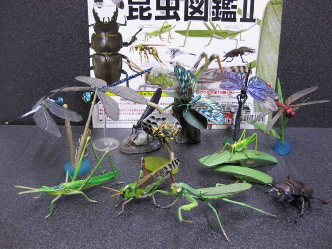 原色日本昆虫図鑑Ⅱ