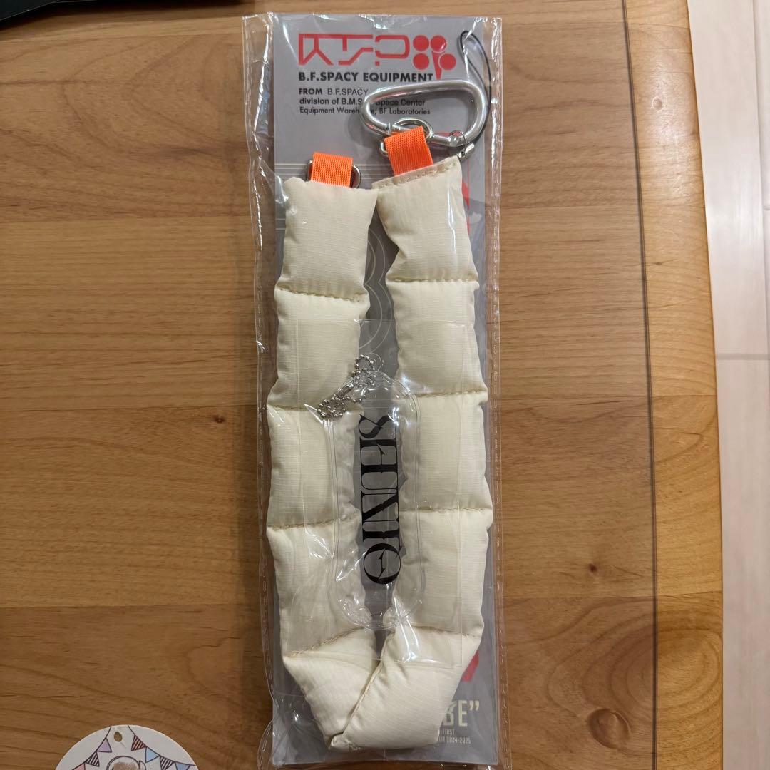 れれ　シュント