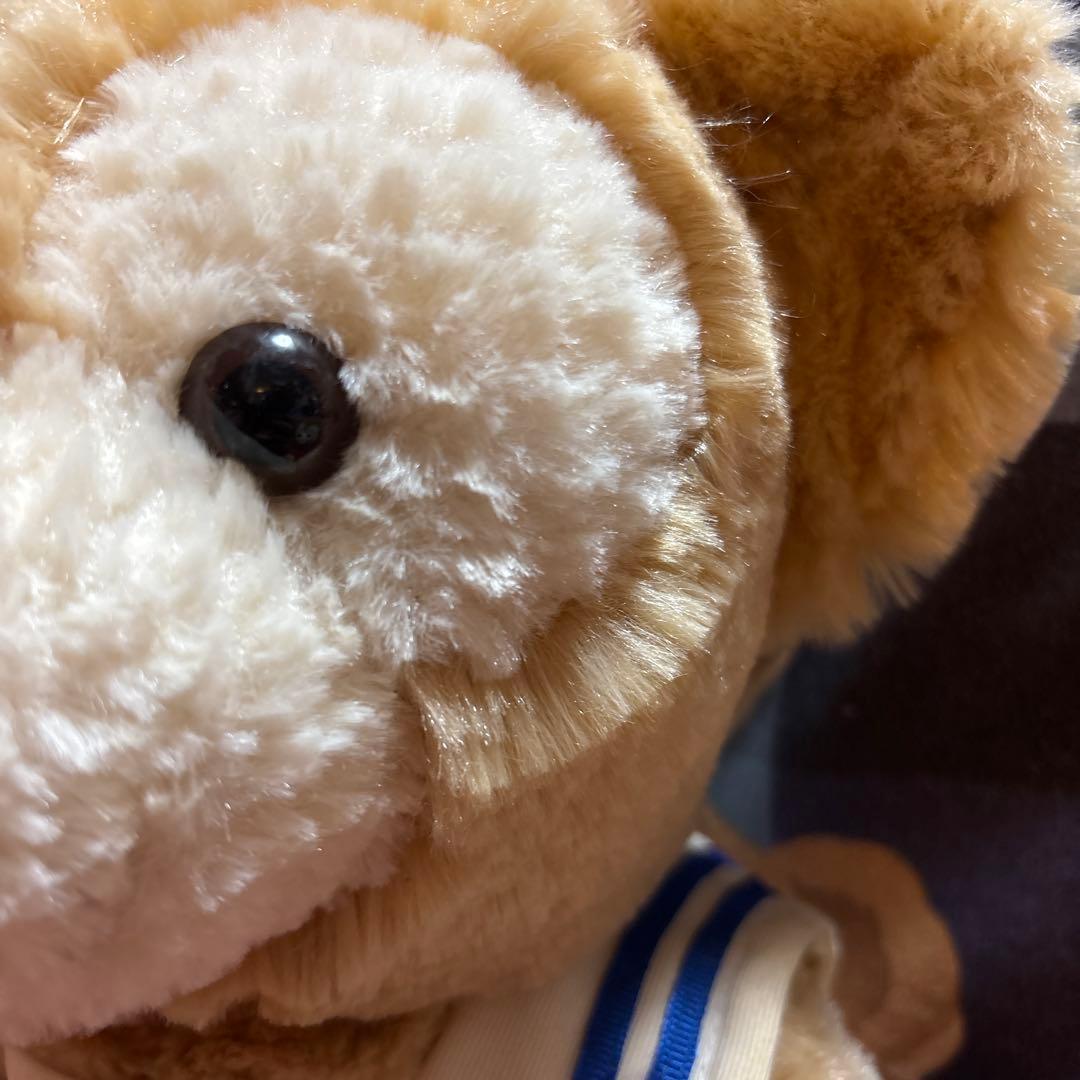 ジャンボリーナイト 帽子なし かなりの激レア