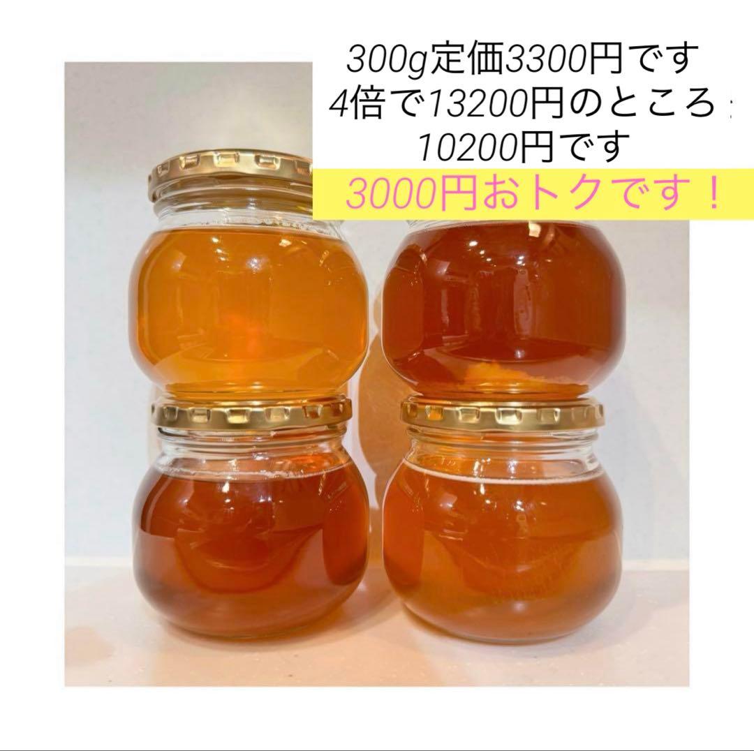 高知県産　生はちみつ　日本蜜蜂　非加熱　無添加