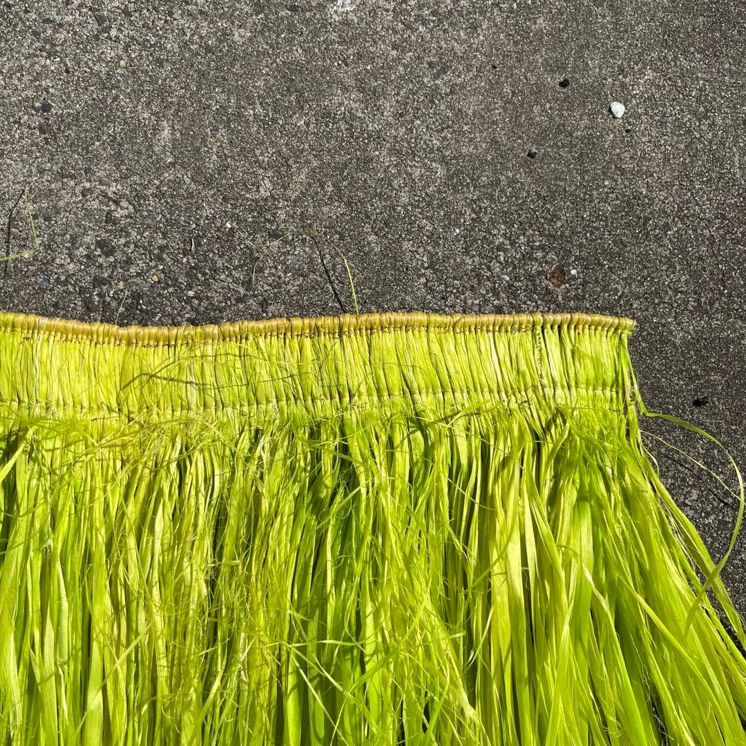 ライトグリーン　モレ