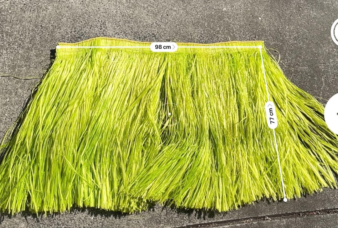 ライトグリーン　モレ