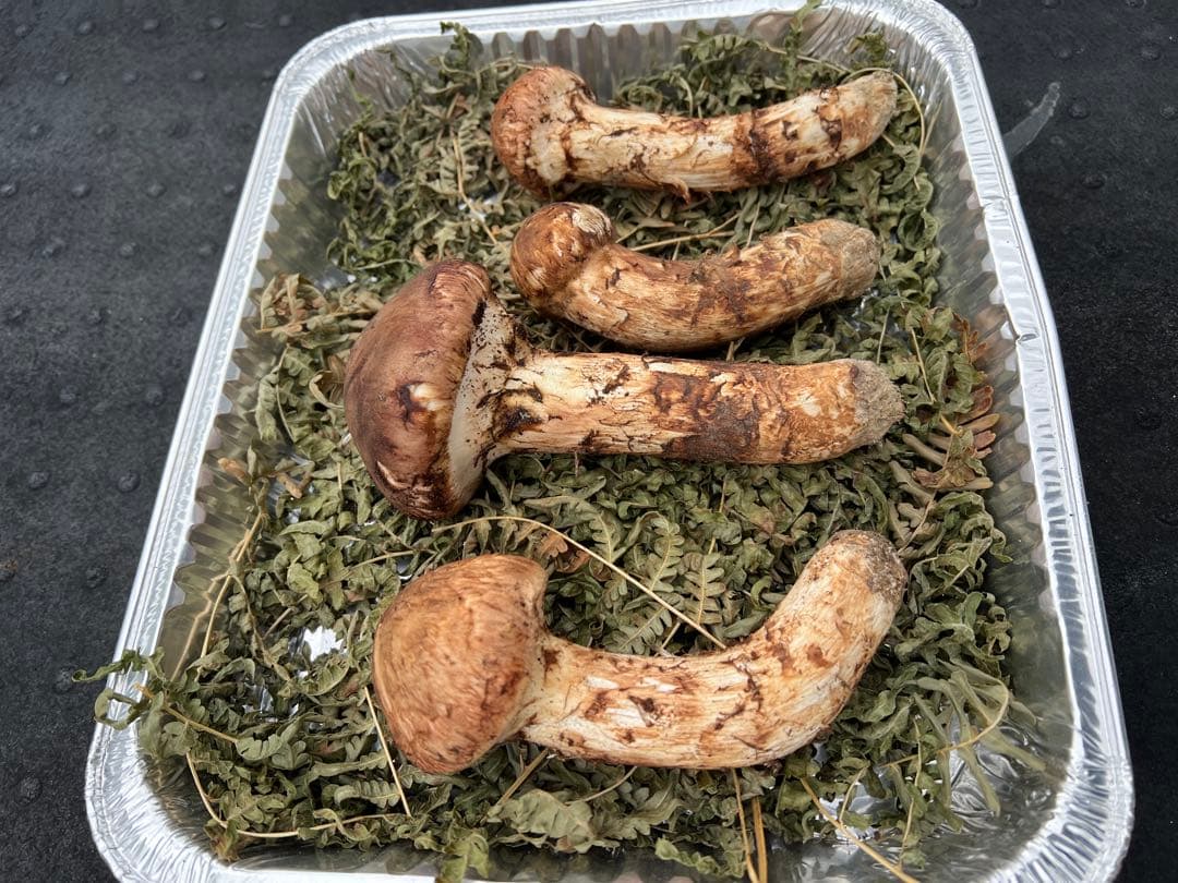 岩手県産 松茸 極上