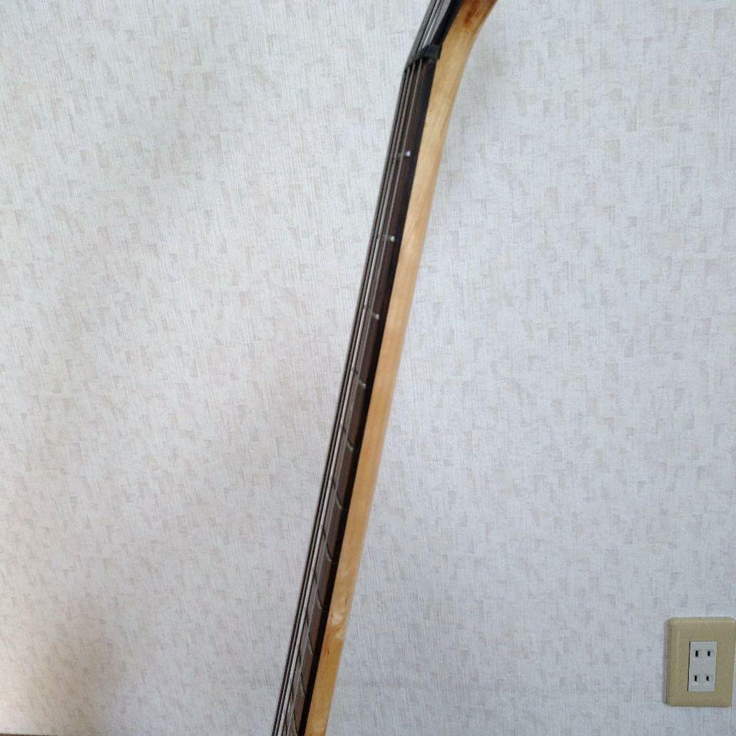 Pignose ピグノーズ PGB-200 アンプ内蔵ベース