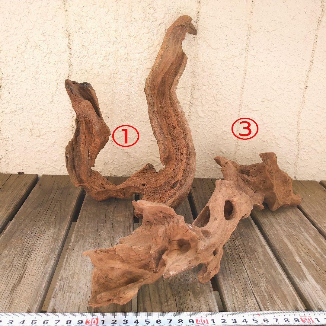 アクアリウム用品　レイアウト 良型 流木 Ｌサイズ　７本セット