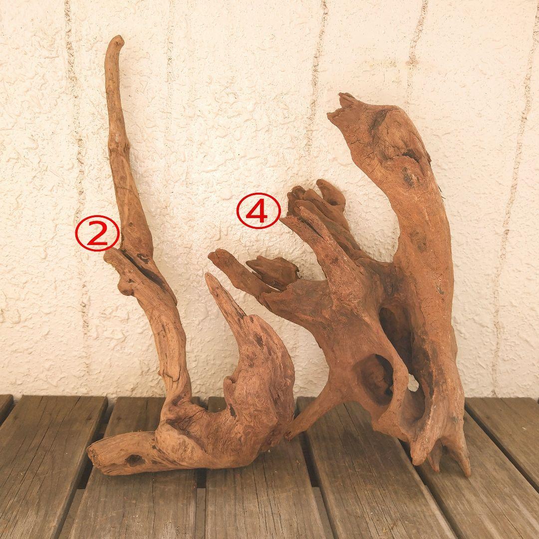 アクアリウム用品　レイアウト 良型 流木 Ｌサイズ　７本セット