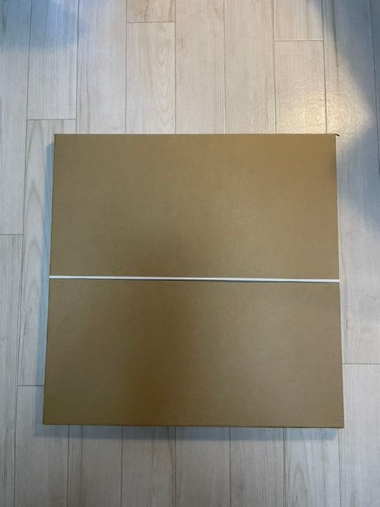 Ricardo Gonzalez（リカルドゴンザレス）FEELINGS 特注額装