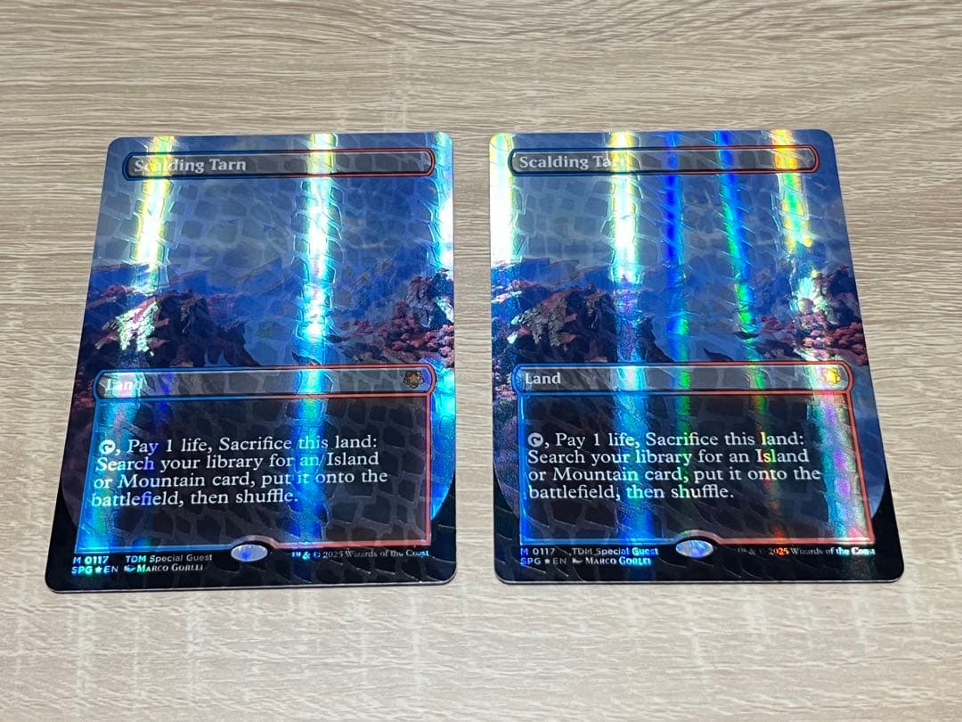 MTG TDM 沸騰する小湖　ドラゴンスケイル・Foil 英語　2枚