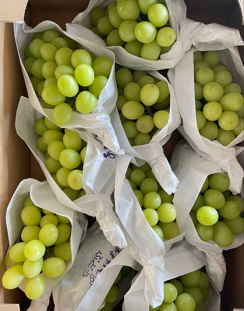 「ゲリラ値下げ」シャインマスカット5kg 期間限定　特別価格　訳あり