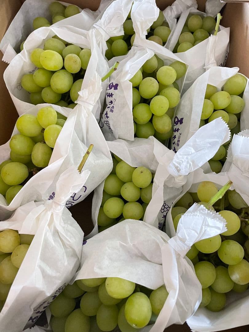 「ゲリラ値下げ」シャインマスカット5kg 期間限定　特別価格　訳あり