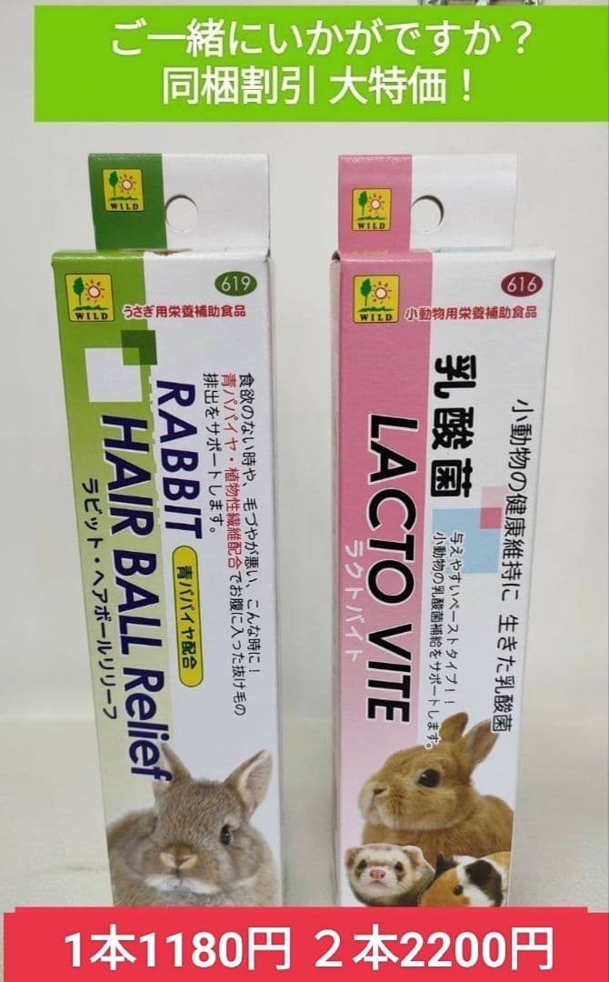 【まとめ買い大特価】新リニューアル品　モルモットセレクションプロ600g×10袋