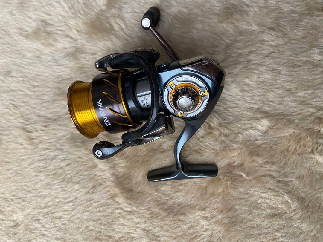 ダイワ 13セルテート2506H