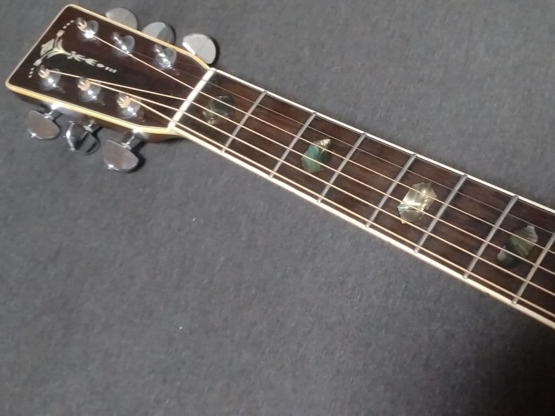 Cats' eyes(キャッツアイ)CE-450D