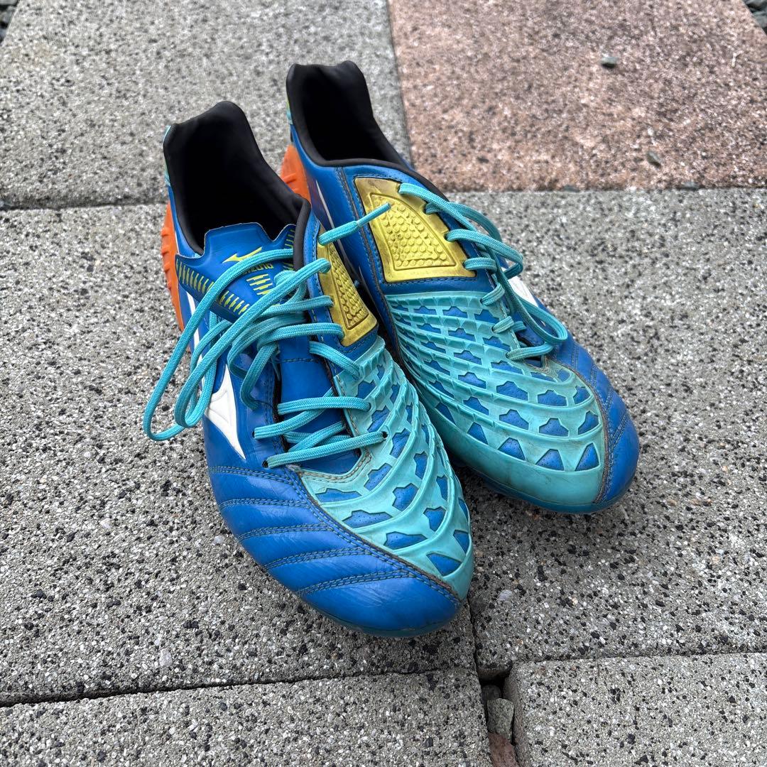 イグニタス　25.5