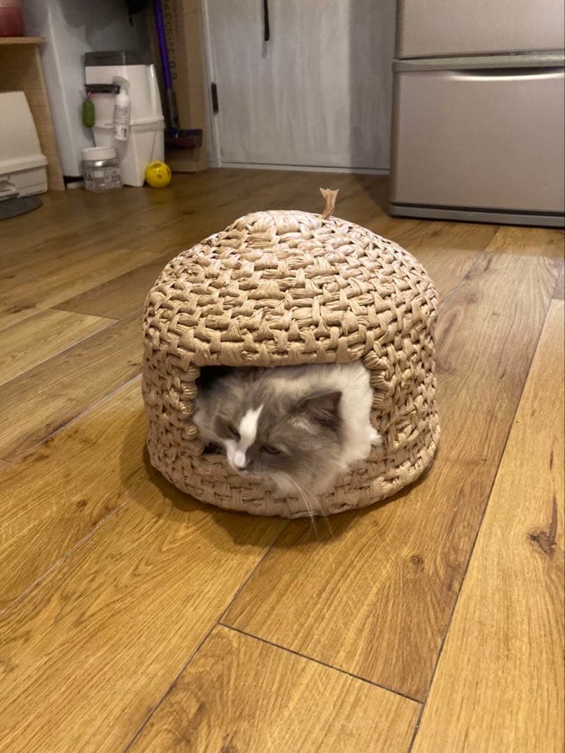 ハンドメイド 猫ちぐら 猫つぐら