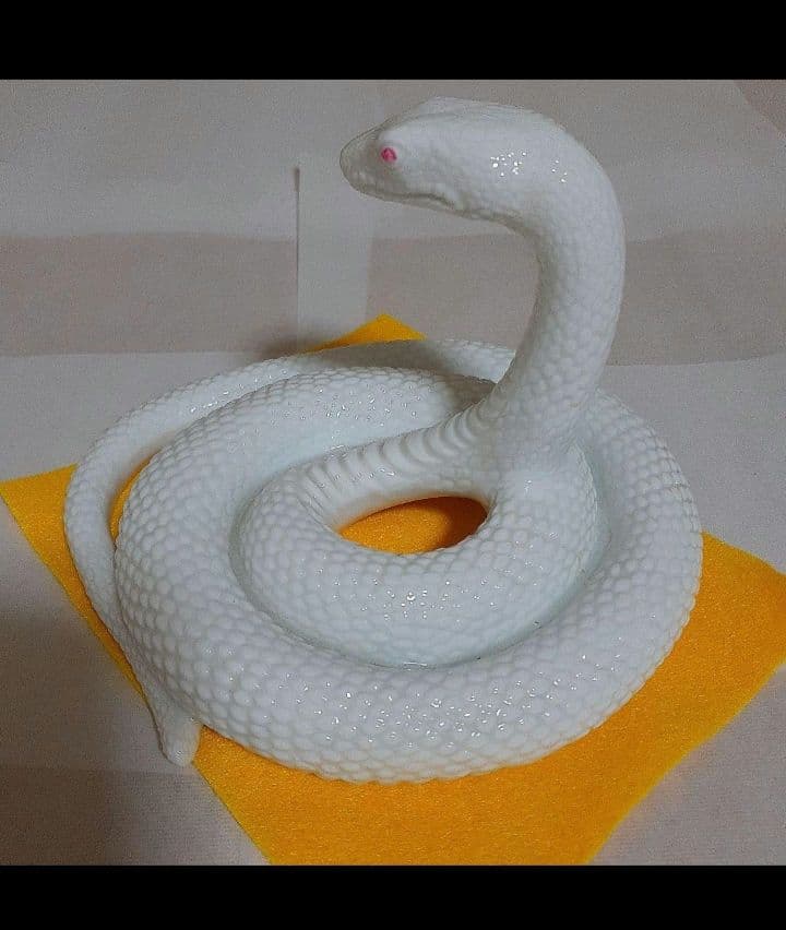 シロヘビ　白蛇　金運財運　巳神