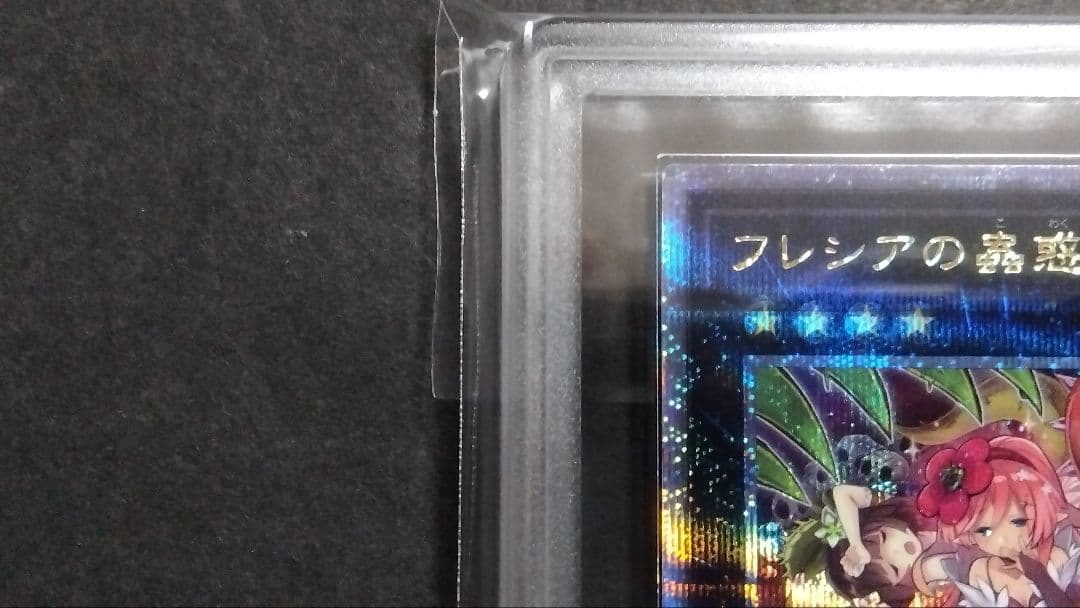 【ARS10】「フレシアの蟲惑魔」25th シークレット QCAC88