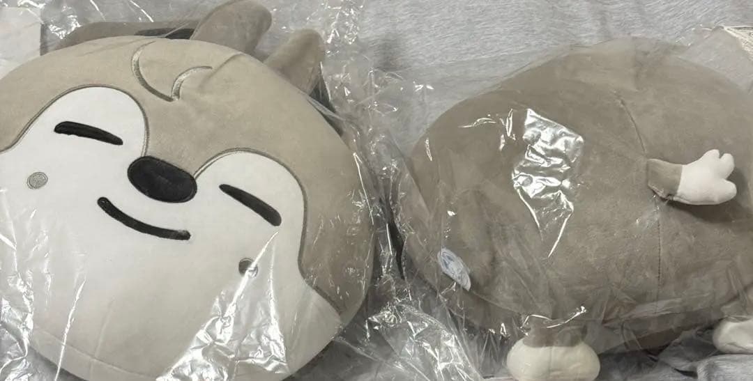 Stray Kids スキズ バンチャン ウルフチャン クッション