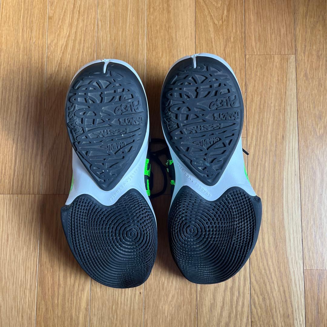 シューズ(男性用) NIKE freak2 \"Naija\"