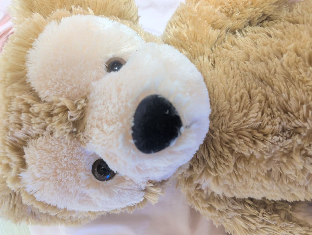 TDS☆旧タグ 白タグダッフィー 70センチ☆ビーズ