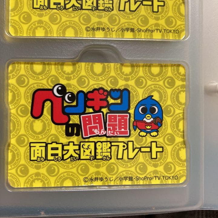 ペンギンの問題　サターンベッカムF