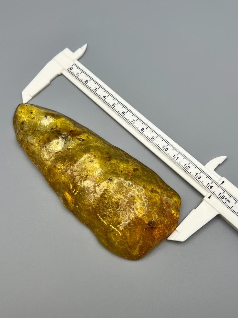 虫入り琥珀　多種多様な虫を内包した　バルティック　アンバー　バルト海沿岸地域産