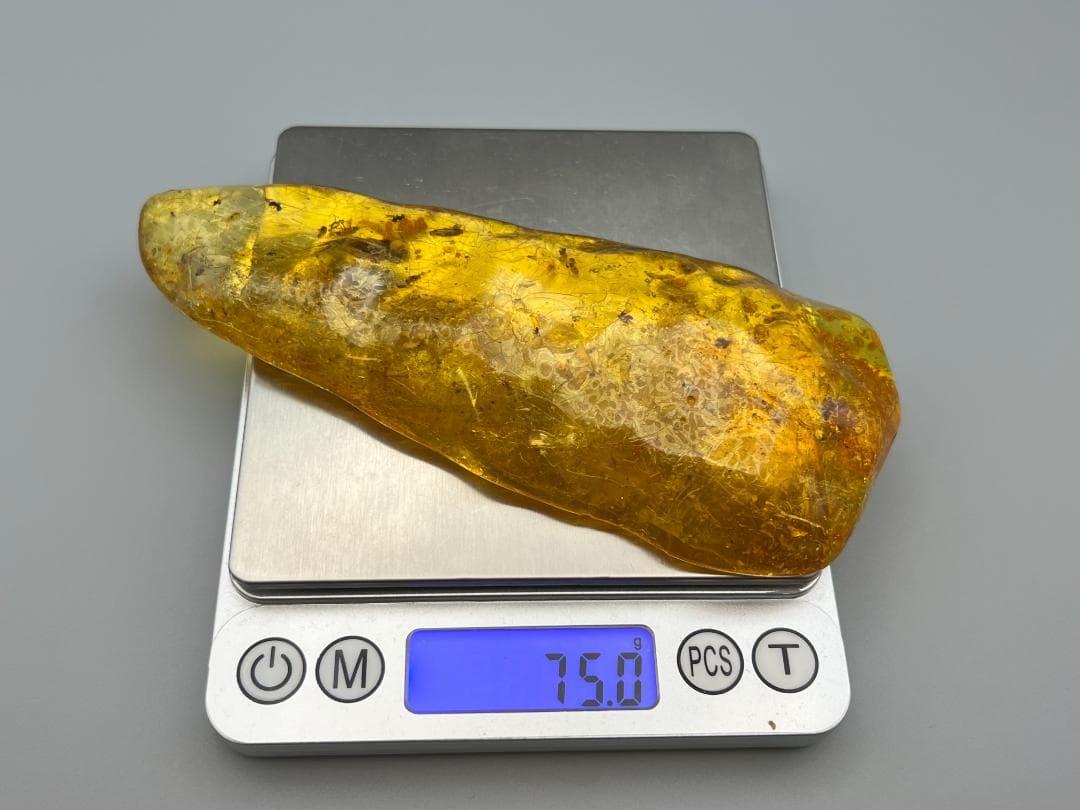 虫入り琥珀　多種多様な虫を内包した　バルティック　アンバー　バルト海沿岸地域産