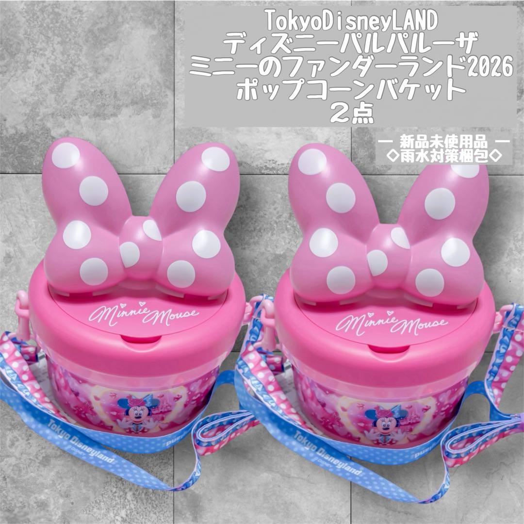 ディズニー パルパルーザ ファンダーランド ポップコーンバケット 2点